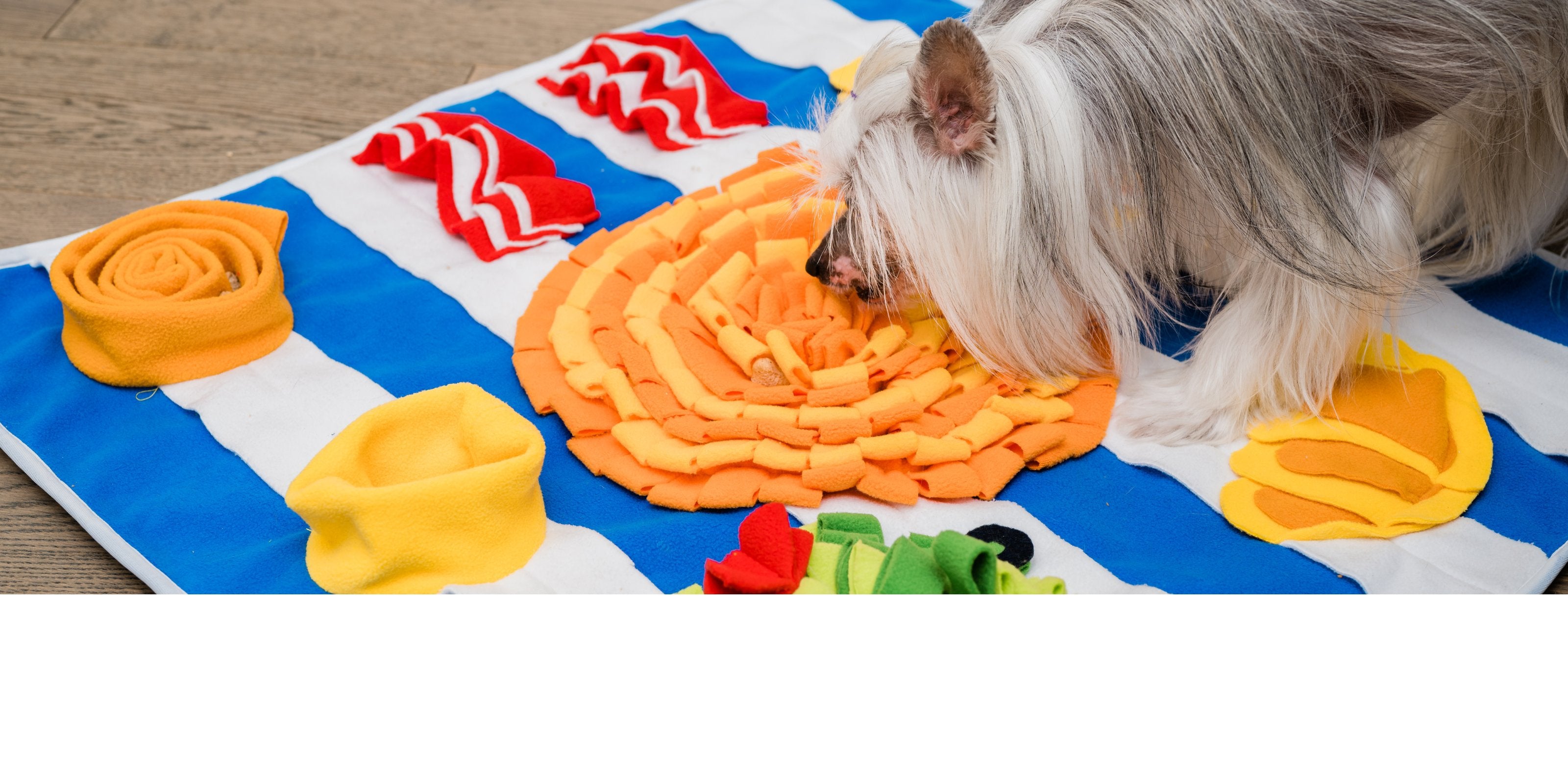 FunniPets Pet Snuffle Mat for Dogs