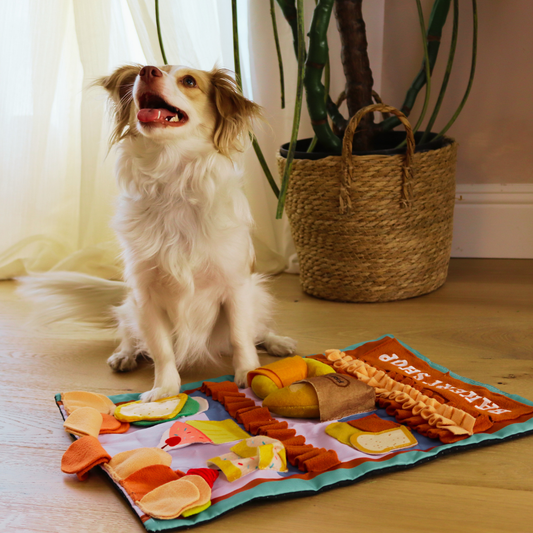 Why your dog needs a snuffle mat