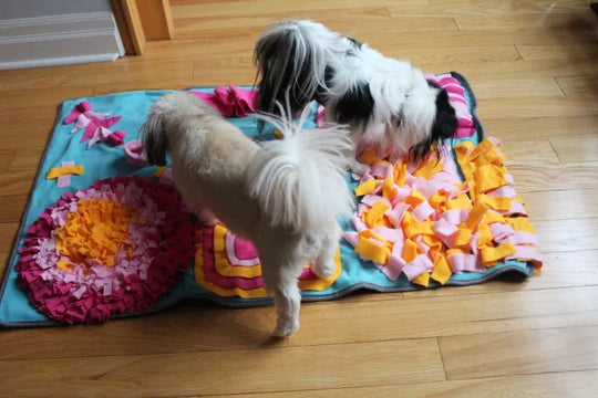 Want to keep your pooch entertained and their senses sharp? A snuffle mat is just the thing!