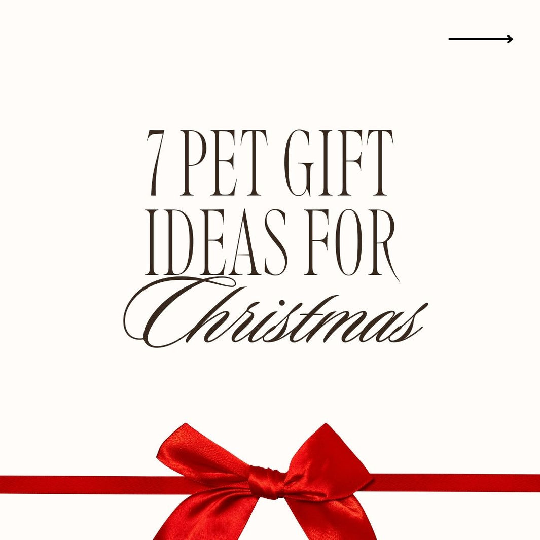 Paws-itively Perfect: Holiday Gift Guide for Pets 2023