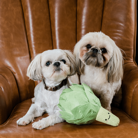 Snuffle Mat: Fun & Sensory Play for Your Pooch!