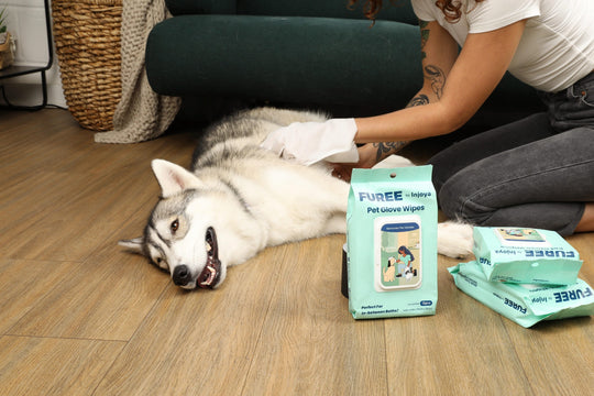 Pet Glove Wipes: The Ultimate Solution for Quick and Convenient Pet Hygiene