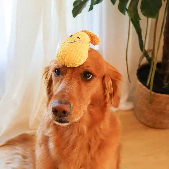 Corn Maze Snuffle Toy