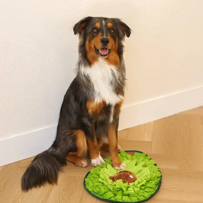 Avocado Pal Snuffle Mat