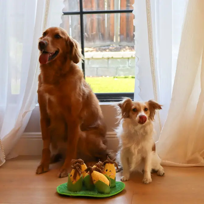 Corn Maze Snuffle Toy