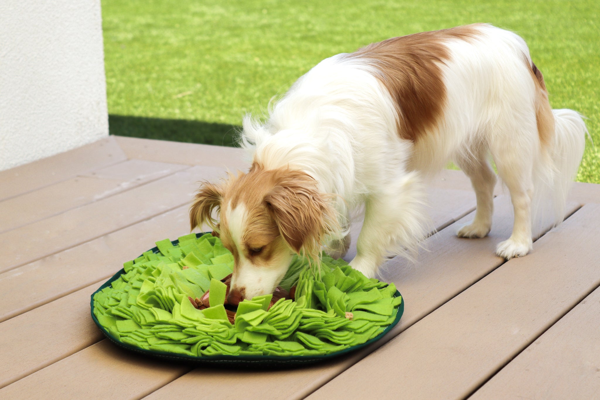 Avocado Pal Snuffle Mat