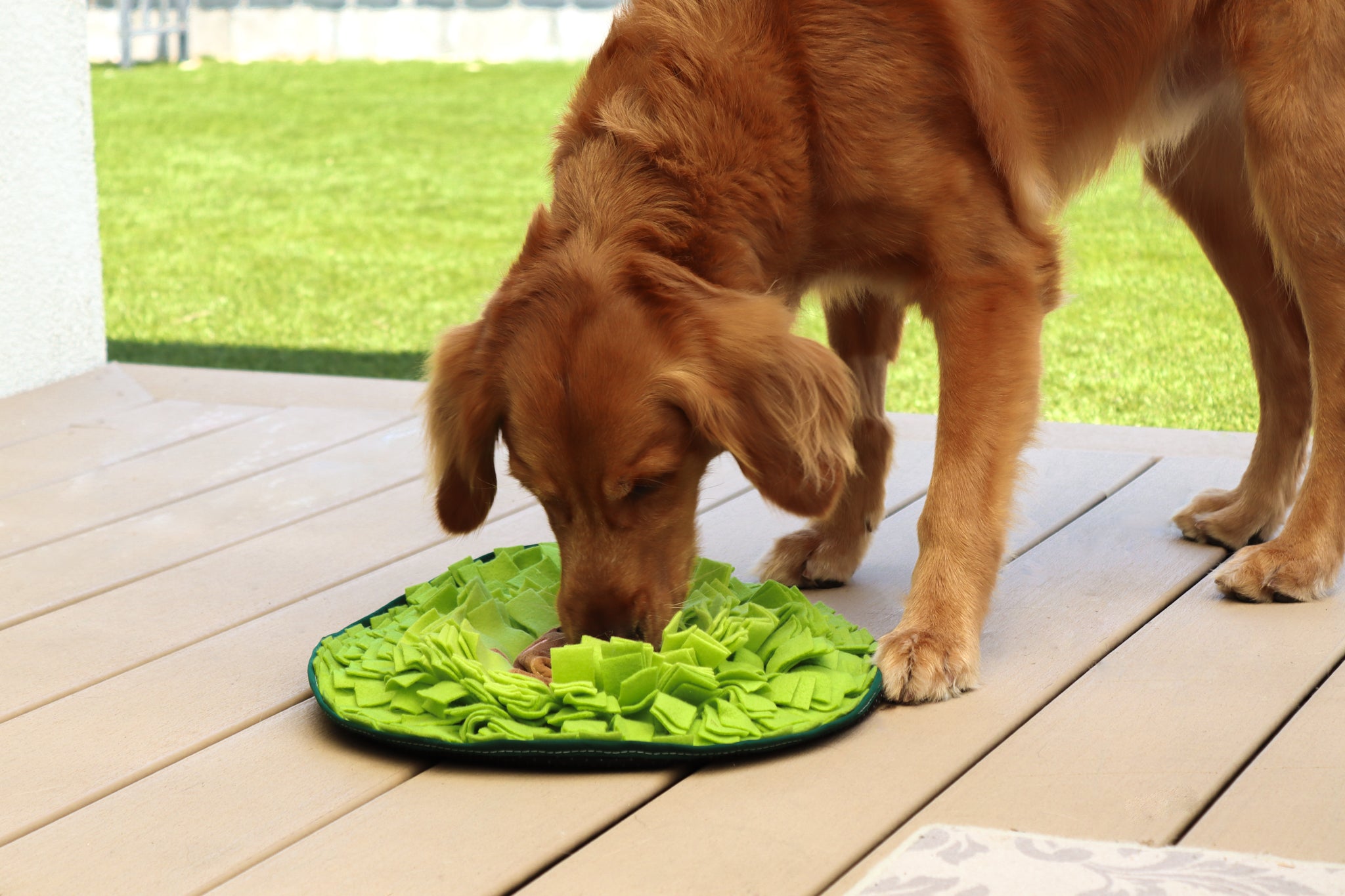 Avocado Pal Snuffle Mat