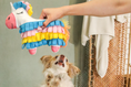 Load image into Gallery viewer, Fiesta Piñata Snuffle Toy
