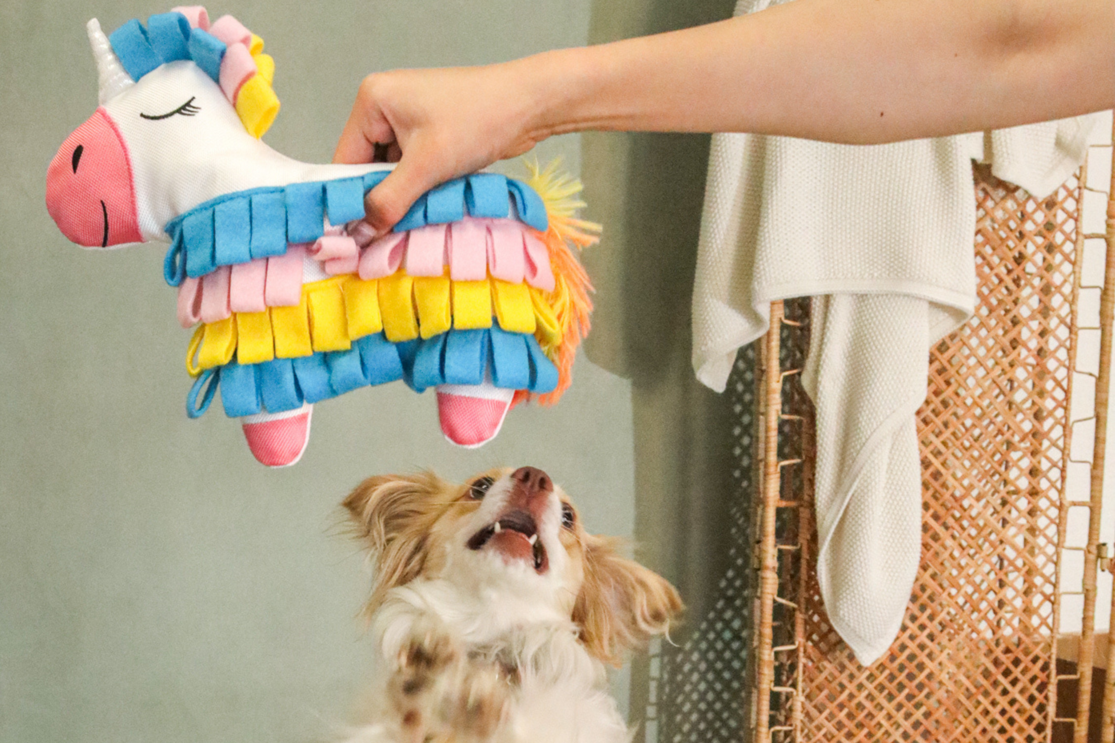 Fiesta Piñata Snuffle Toy