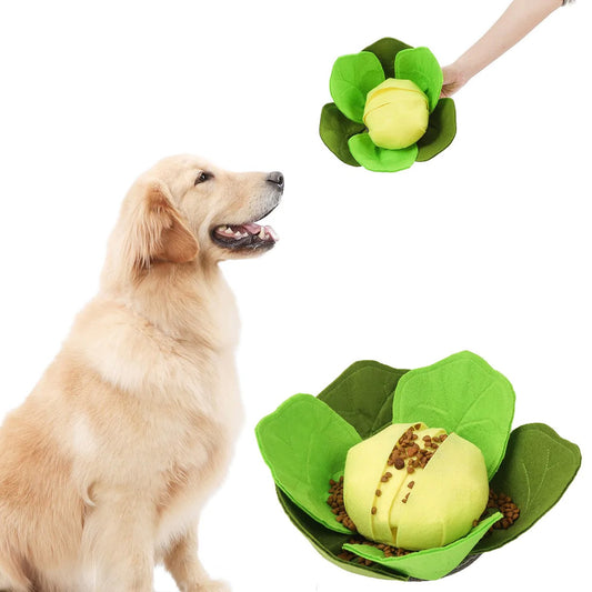 Cabbage Snuffle Toy