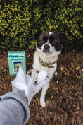 Load image into Gallery viewer, Pet Glove Wipes in use, showing a pet owner cleaning their dog's fur, highlighting the wipes' ease of use and effectiveness.
