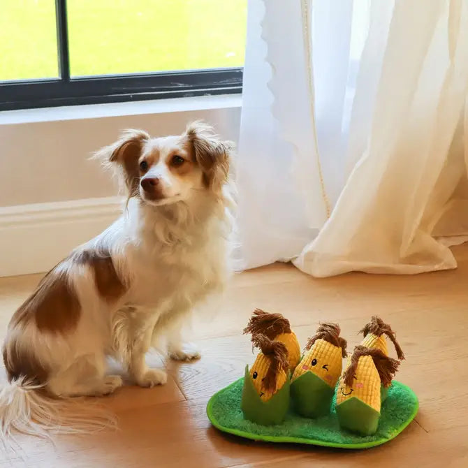 Corn Maze Snuffle Toy