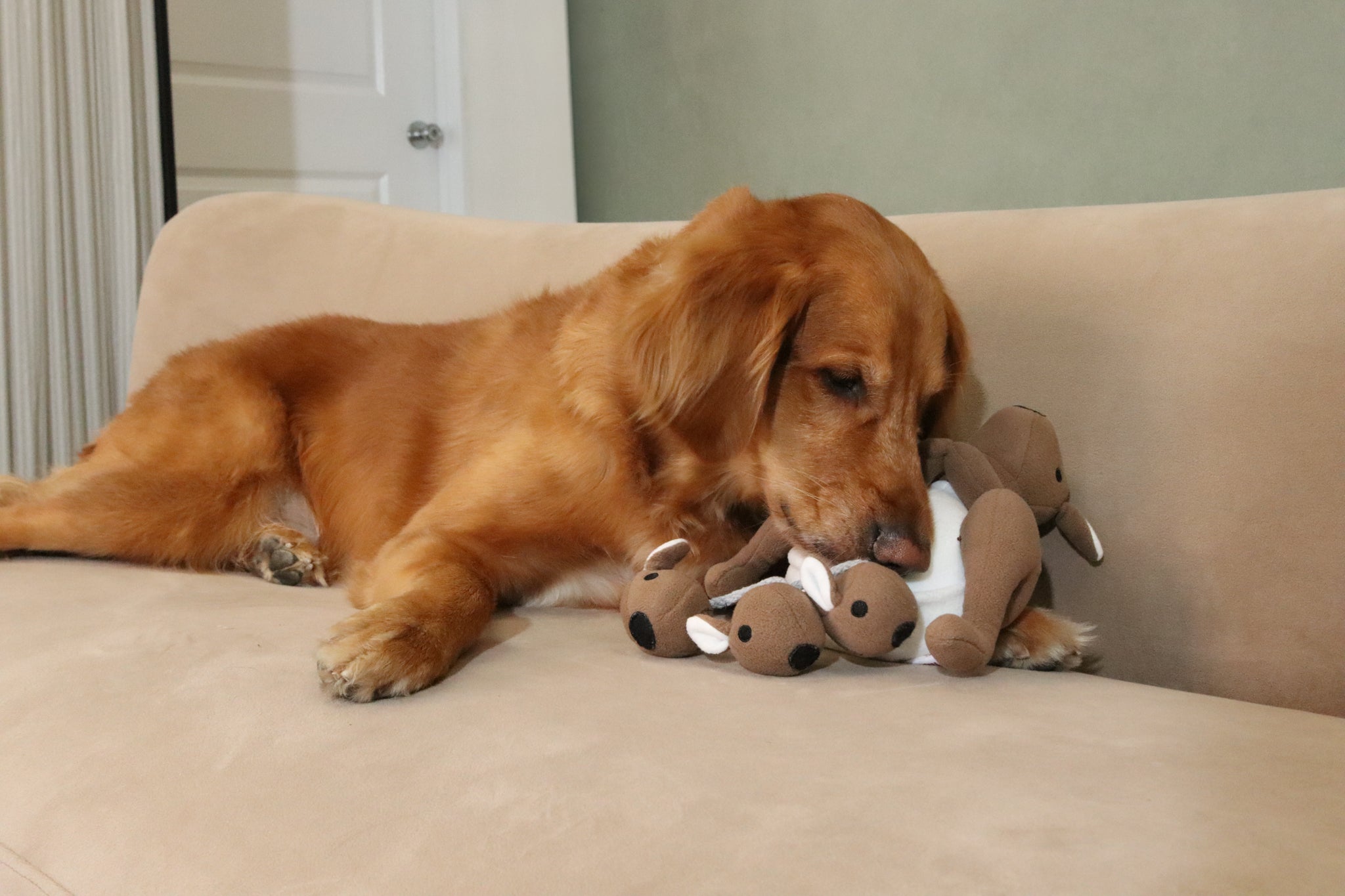 Joey Pouch Snuffle Toy laid out flat, showcasing its non-slip backing and machine washable fabric, ideal for easy cleaning and maintenance