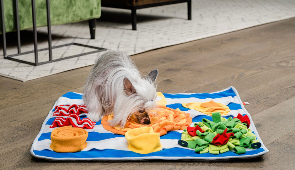 INJOYA, Peanut Butter & Jelly Snuffle and Lick Mat for Dogs & Cats