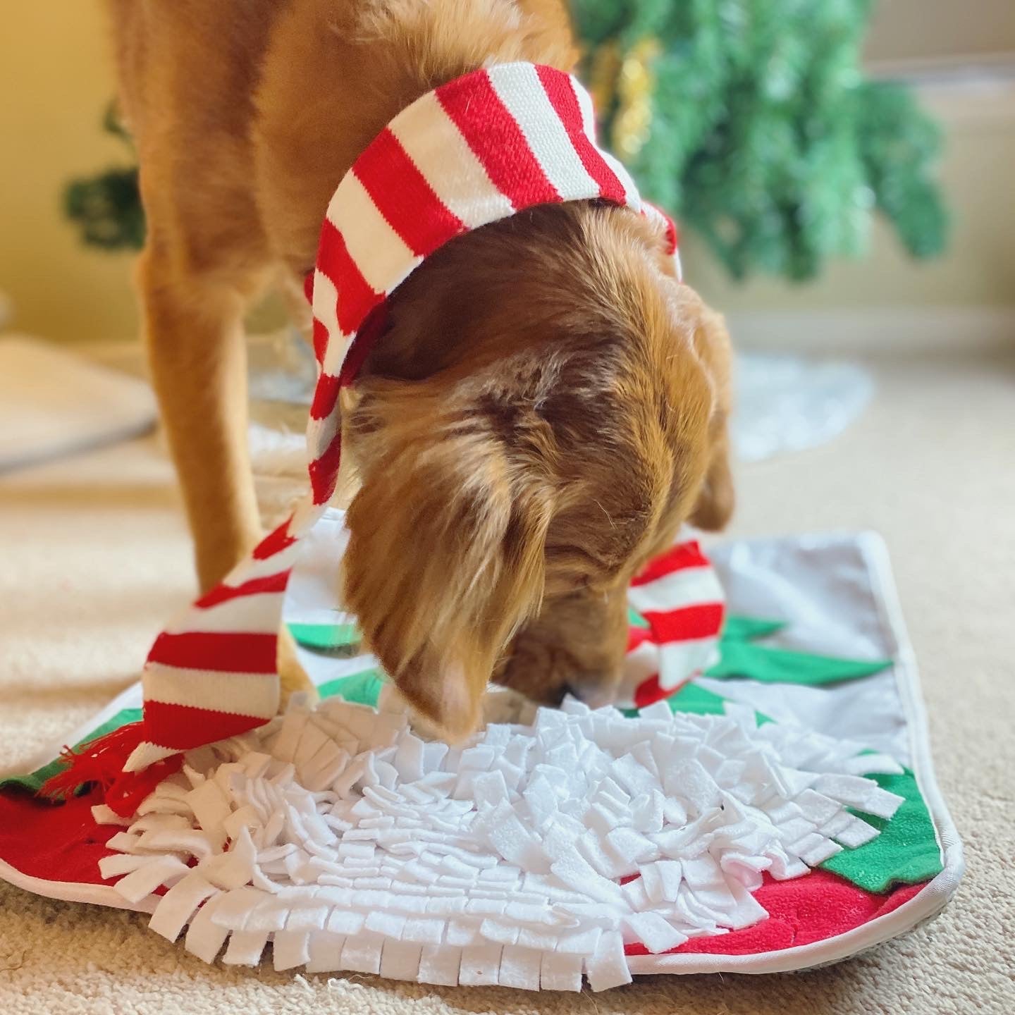 Close-up of the Santa Snuffle Mat's vibrant colors and intricate snuffle patterns, designed to engage and entertain dogs during mealtime.