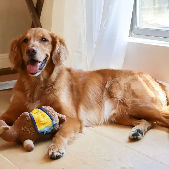 Sahara Camel Snuffle Toy laid out flat, showcasing its non-slip backing and machine washable fabric, ideal for easy cleaning and maintenance.