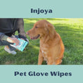 Load and play video in Gallery viewer, Pet Glove Wipes
