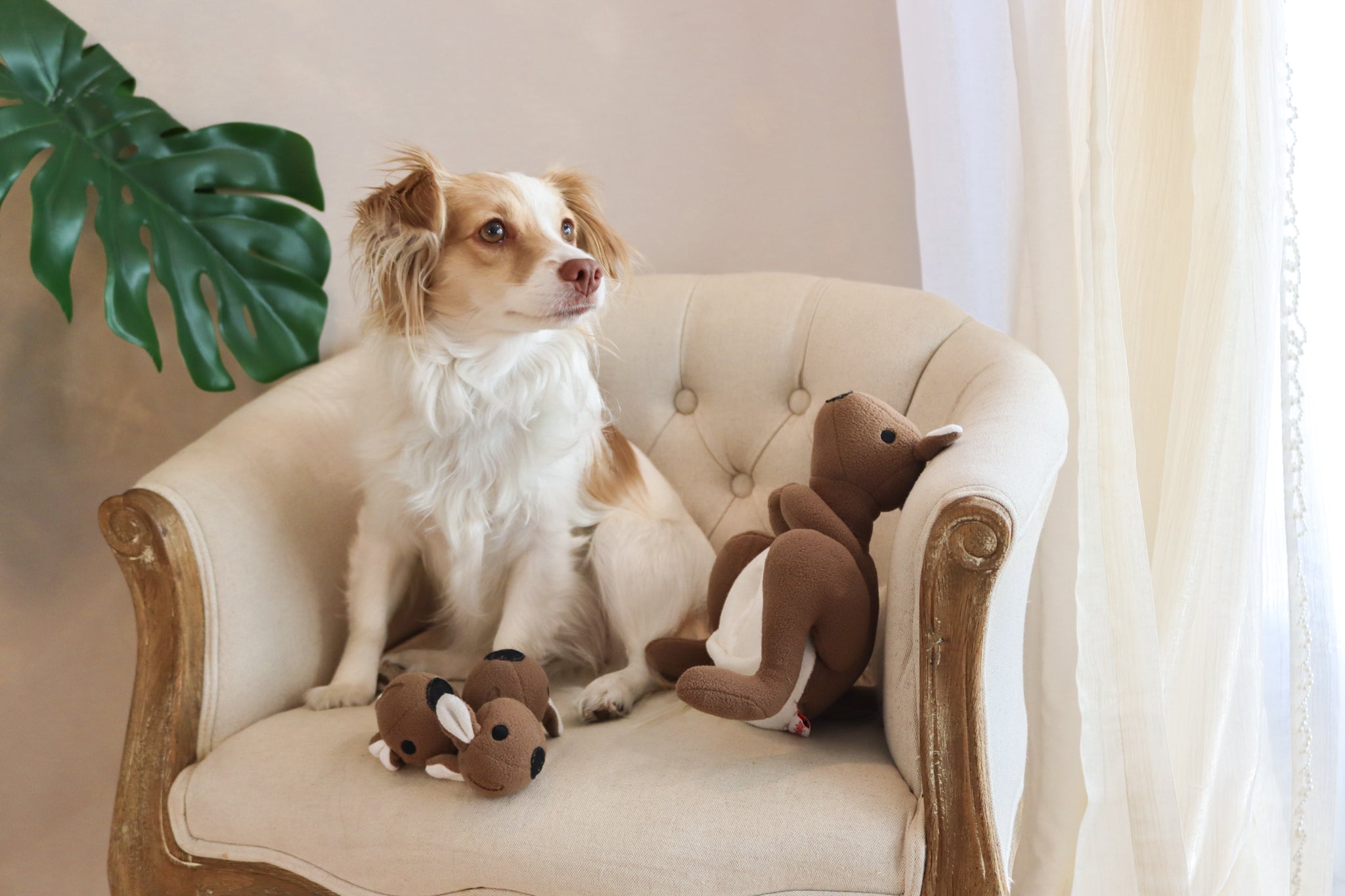 Dog enjoying the Joey Pouch Snuffle Toy, sniffing and foraging for hidden treats, promoting natural eating habits and reducing anxiety.