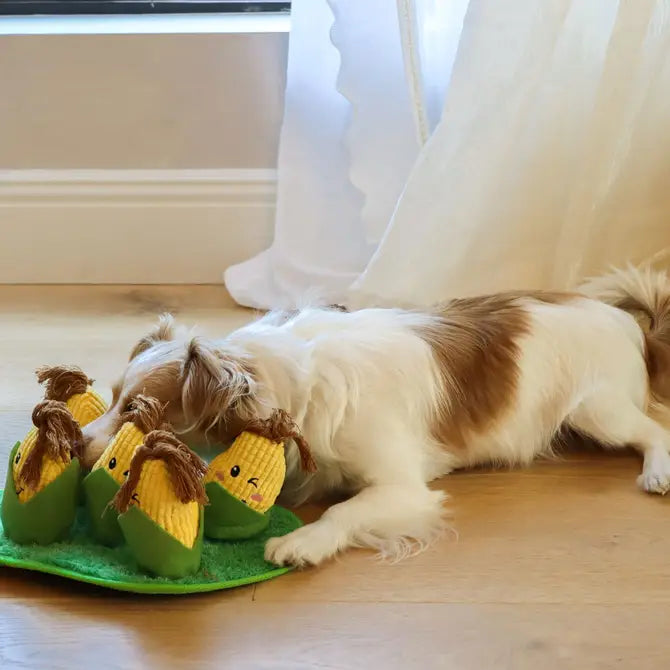 Dog enjoying the Corn Maze Snuffle Toy, sniffing and foraging for hidden treats, promoting natural eating habits and reducing anxiety.