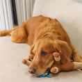 Load image into Gallery viewer, Detailed view of the Sahara Camel Snuffle Toy's soft, plush texture, crafted from recycled materials, providing a sustainable and enjoyable feeding experience for dogs.
