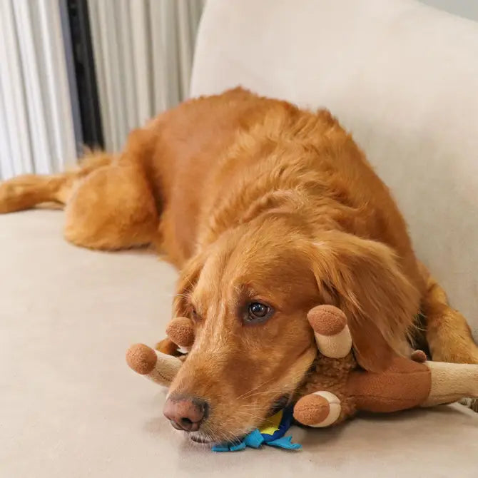 Detailed view of the Sahara Camel Snuffle Toy's soft, plush texture, crafted from recycled materials, providing a sustainable and enjoyable feeding experience for dogs.