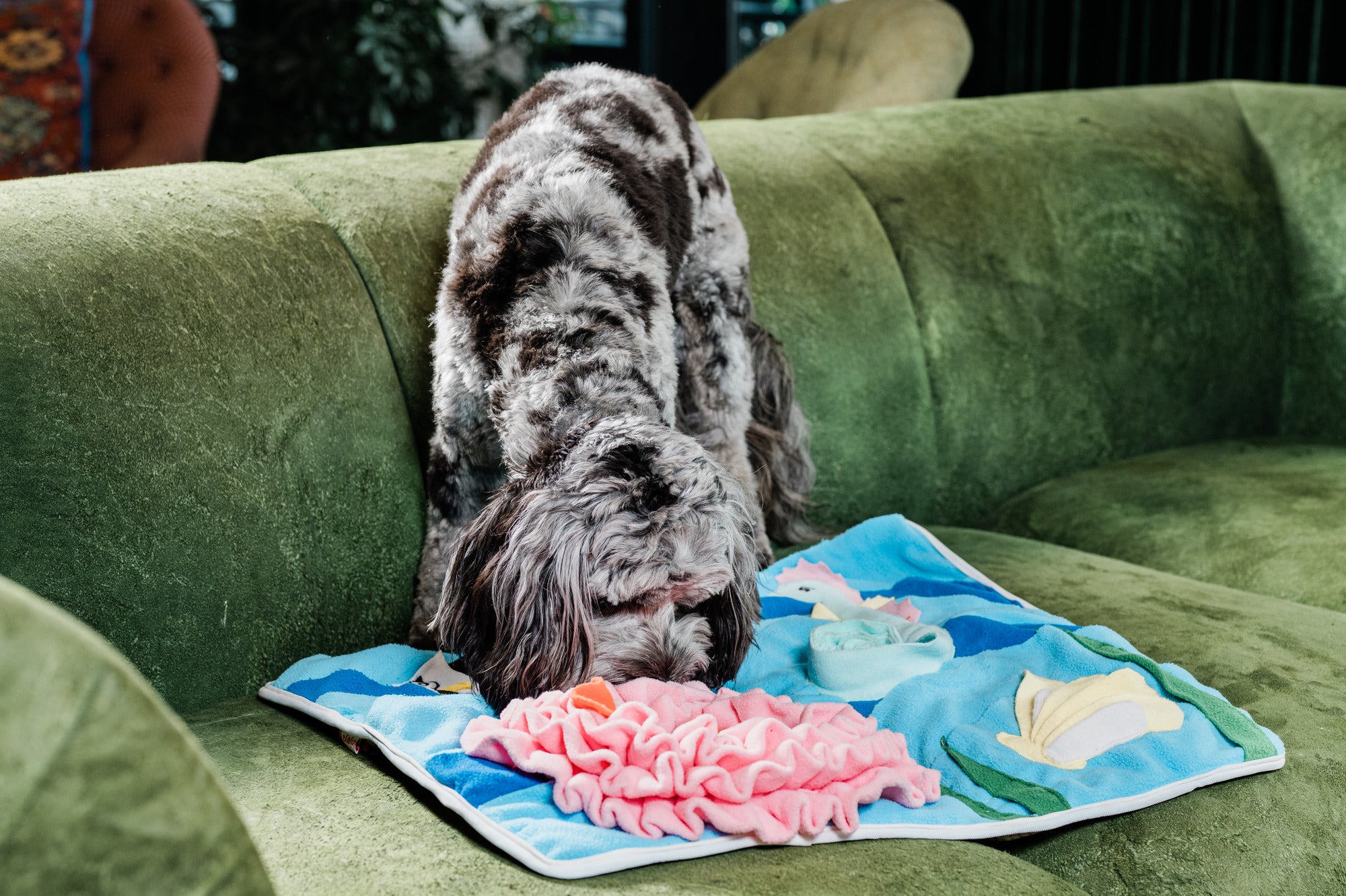 Snuffle Mats Enrichment by Injoya Dog Toys – rawpetfooddeliverymarket