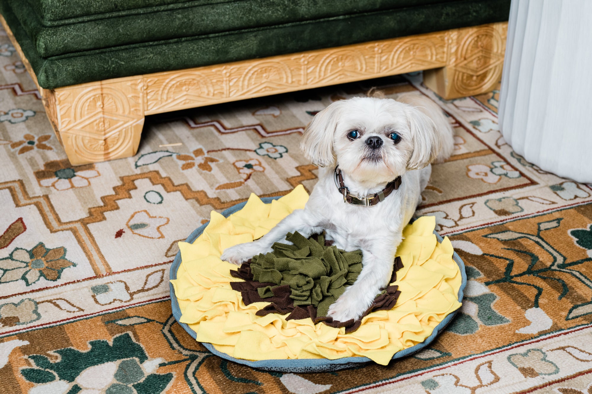 Snuffle Mats Enrichment by Injoya Dog Toys – rawpetfooddeliverymarket