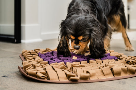 Close-up of the PB&J Snuffle Mat's intricate snuffle patterns and soft, plush fabric layers, designed to engage and entertain dogs during mealtime.