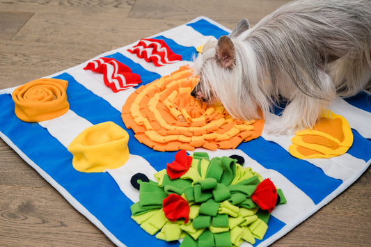 Close-up of the Breakfast Snuffle Mat's vibrant colors and intricate snuffle patterns, designed to engage and entertain dogs during mealtime.